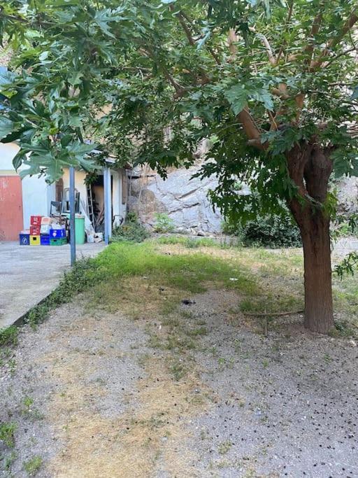 Appt 4 Pers Avec Jardin Ombrage En Centre Ville De Сет Екстериор снимка